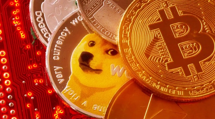 Shiba Coin Nedir? Shiba Coin Geleceği 2023