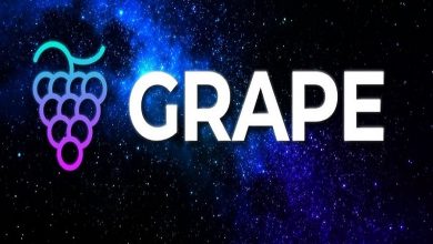 Grape Coin Nedir? GrapeCoin Geleceği 2022
