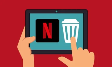 Netflix İzleme Geçmişi, Cihaz Profili ve Kart Silme